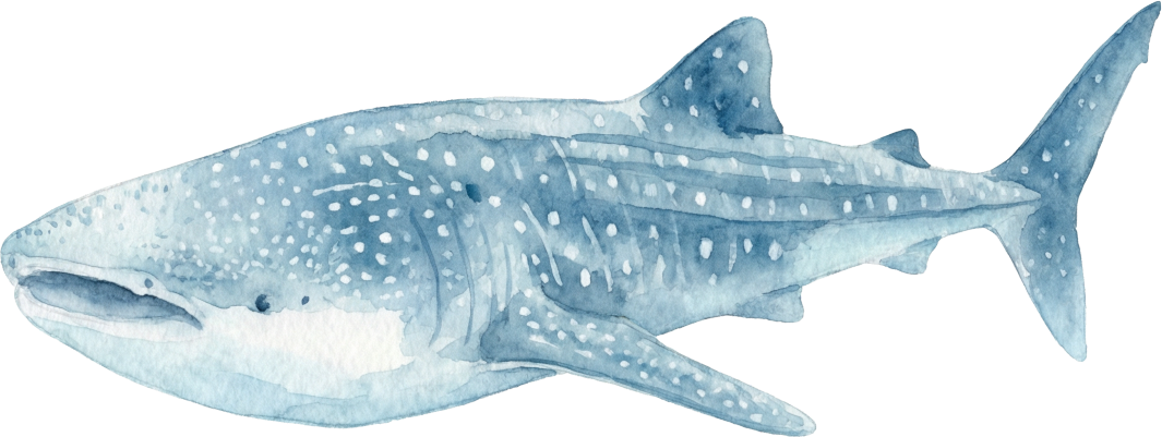 Sharks
